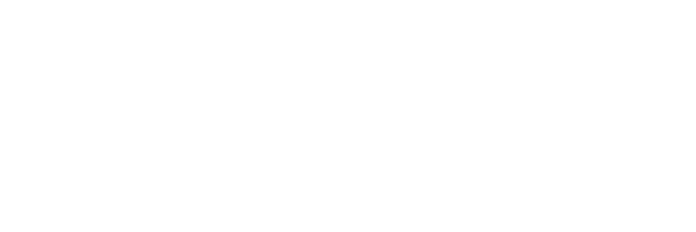 fns1-3